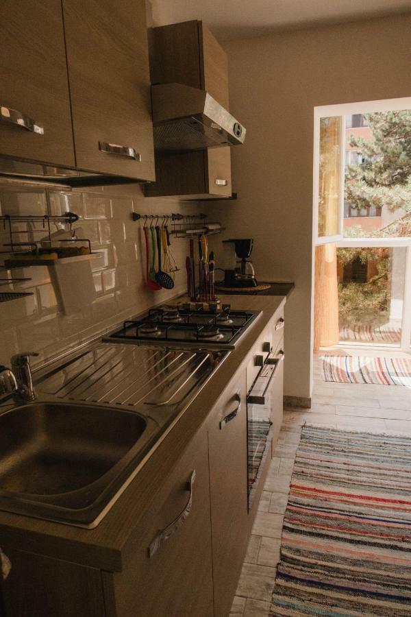 Good Vibes Apartment Câmpulung Moldovenesc Extérieur photo